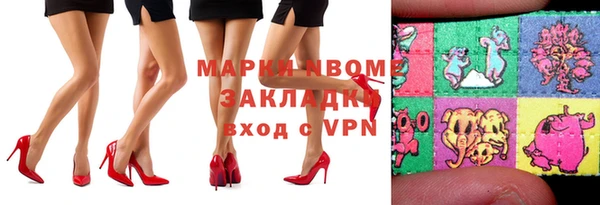 стафф Новозыбков