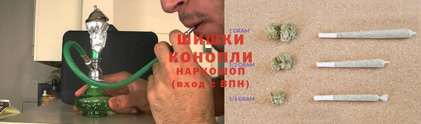 ПСИЛОЦИБИНОВЫЕ ГРИБЫ Нязепетровск