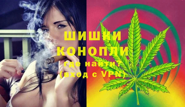 стафф Новозыбков