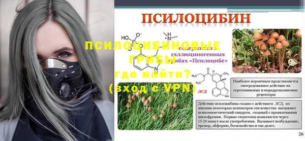 мяу мяу мука Новодвинск