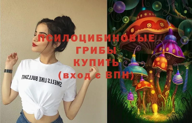 Псилоцибиновые грибы Magic Shrooms  кракен как войти  Орлов  наркота 